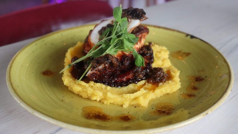 El Ocho octopus tentacle on gold potato purée, drizzled with sauce